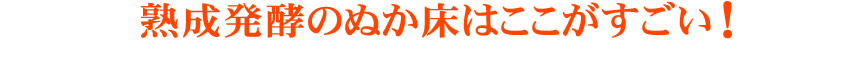 熟成発酵のぬか床はここがすごい!
