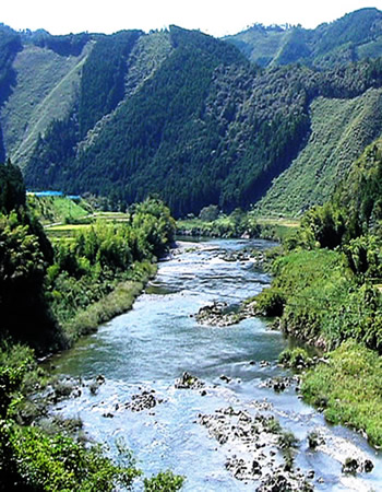 高知県の川の写真？