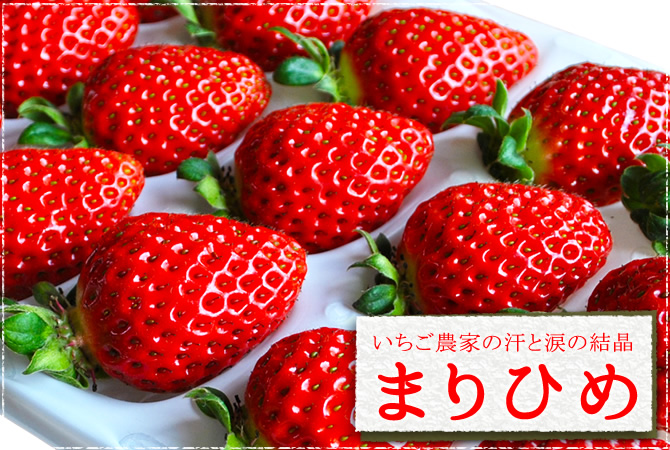 まりひめの説明