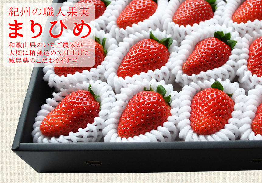紀州の職人果実、和歌山県のいちご農家が大切に精魂込めて仕上げた減農薬のこだわりイチゴ
