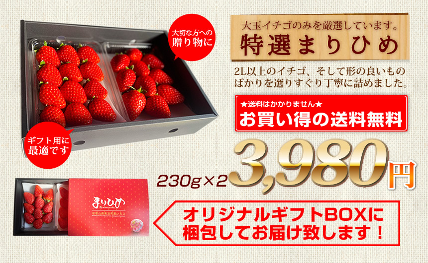 特選まりひめ
        ご家庭用に最適！※優品とはイチゴ自体の形が若干見劣りするものです。
        また大きさも不揃いとなりますが、味は特選のものと変わりありません。
        ご家庭用にお求め安くなっております。