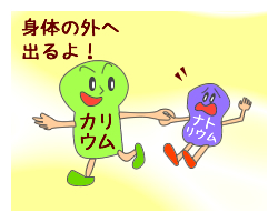 カリウムとナトリウム