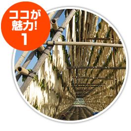 大根の天日干し