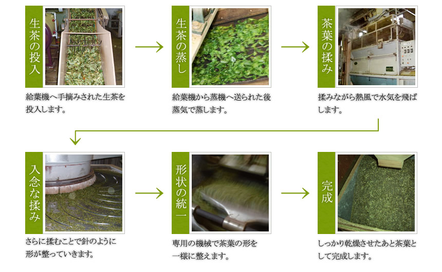 お茶の製造工程