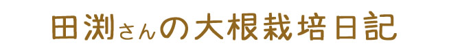 田渕さんの大根栽培日記