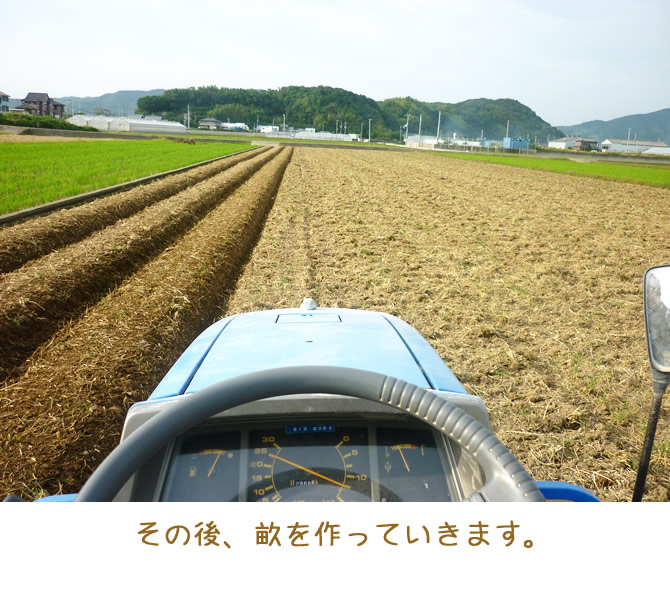 畑の畝上げ