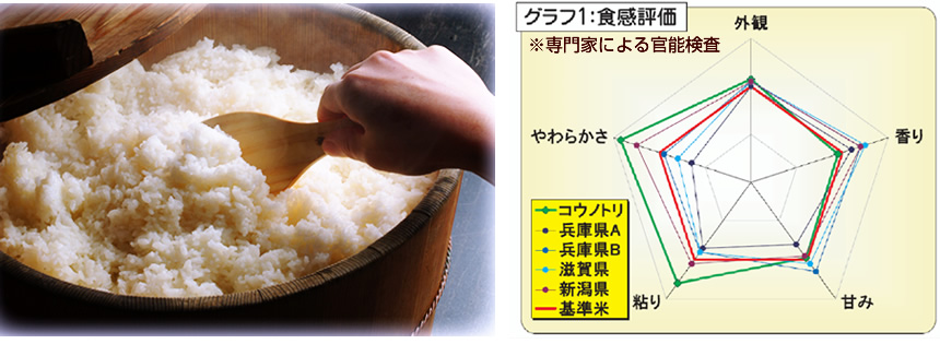 コウノトリ育む米麹の美味しさの秘密