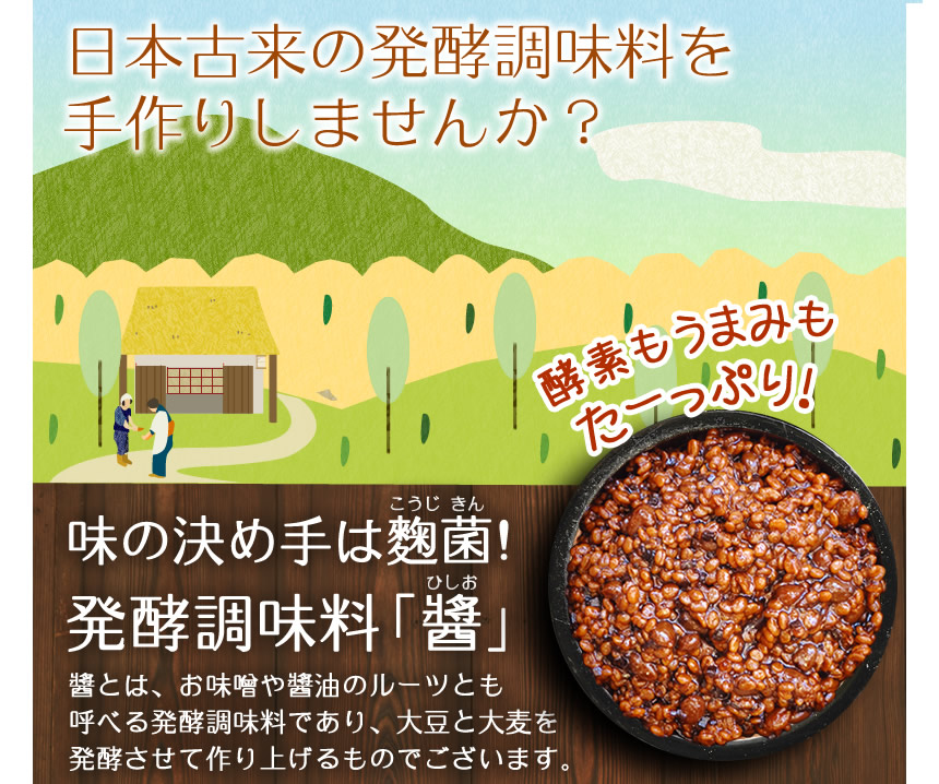 手作りひしおセット、味の決め手は麹菌、発酵調味料「醤」醤とは、お味噌や醤油のルーツとも呼べる発酵調味料であり、大豆と大麦を発酵させて作り上げるものです。