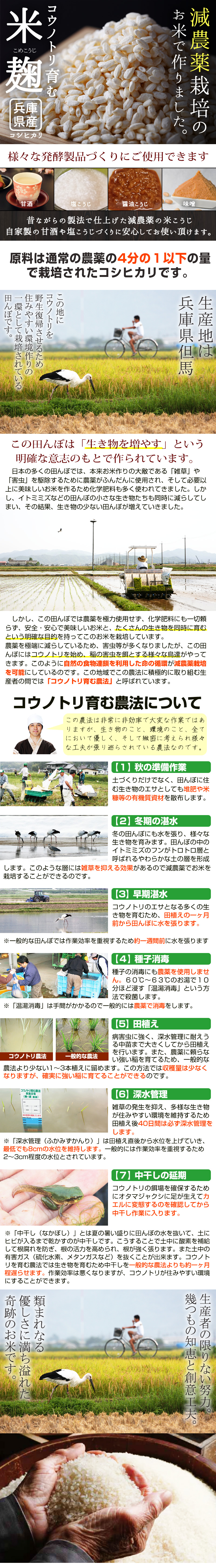 減農薬栽培のお米で作りました。コウノトリ育む米麹、兵庫県産コシヒカリ。様々な発酵製品づくりにご使用できます。甘酒、塩こうじ、醤油こうじ、味噌。昔ながらの製法で仕上げた減農薬の米こうじ、自家製の甘酒や塩麹づくりに安心してお使いいただけます。原料は通常の農薬の4分の1以下の量で栽培されたコシヒカリです。生産地は兵庫県但馬。この地にコウノトリを野生復帰させるため住みやすい環境づくりの一環として栽培されている田んぼです。このたんぼは「生き物を増やす」という明確な意思のもとで作られています。日本の多くの田んぼでは、本来お米作りの大敵である「雑草」や「害虫」を駆除するために農薬がふんだんに使用され、そして必要以上に美味しいお米を作るため化学肥料も多く使われてきました。しかし、イトミミズなどの田んぼの小さな生き物たちも同時に減らしてしまい、その結果、生き物の少ない田んぼが増えていきました。しかし、この田んぼでは農薬を極力使用せず、化学肥料にも一切頼らず、安全・安心で美味しいお米と、たくさんの生き物を同時に育むという明確な目的を持ってこのお米を栽培しています。農薬を極端に減らしているため、害虫等が多くなりましたが、この田んぼにはコウノトリを始め、稲の害虫を餌とする様々な鳥達がやってきます。このように自然の食物連鎖を利用した命の循環が減農薬栽培を可能にしているのです。この地域でこの農法に積極的に取り組む生産者の間では「コウノトリ育む農法」と呼ばれています。コウノトリ育む農法について、この農法は非常に非効率で大変な作業ではありますが、生き物のこと、環境のこと、全てにおいて優しく、そして緻密に考えられ様々な工夫が張り巡らされている農法なのです。【1】秋の準備作業。土作りだけではなく、田んぼに住む生き物の餌としても堆肥や米糠等の有機質資材を散布します。【2】冬期の湛水。冬の田んぼにも水を張り、様々な生き物を育みます。田んぼの中のイトミミズの分がトロトロ層と呼ばれるやわらかな土の層を形成します。このような層には雑草を抑える効果があるので減農薬でお米を栽培することができるのです。【3】早期湛水。コウノトリのエサとなる多くの生き物を育むため、田植えの一ヶ月前から田んぼに水を張ります。※一般的な田んぼでは作業効率を重視するため約一週間前に水を張ります。【4】種子消毒、手指の消毒にも農薬を使用しません。60~63℃のお湯で10分ほど浸す「温湯消毒」という方法で殺菌します。「温湯消毒」は手間がかかるので一般的には農薬で消毒します。【5】田植え。病害虫に強く、深水管理に耐えうる中苗まで大きくしてから田植えを行います。また、農薬に頼らない強い苗を育てるため、一般的にあ農法より少ない、1~3本植えに留めます。この方法では収穫量は少なくなりますが、確実に強い稲に育てることができるのです。【6】深水管理。雑草の発生を抑え、多様な生き物が住みやすい環境を維持するため田植え後40日間は必ず深水管理をします。※「深水管理(ふかみずかんり)」は田植え直後から水位を上げていき、最低でも8cmの水位を維持します。一般的には作業効率を重視するため2~3cm程度の水位とされています。【7】中干しの延期。コウノトリの餌場を確保するためにオタマジャクシに足が生えてカエルに変態するのを確認してから中干し作業に入ります。※「中干し(なかぼし)」とは夏の暑い盛りに田んぼの水を抜いて、土にヒビが入るまで乾かすのが中干しです。こうすることで土中に酸素を補給して根腐れを防ぎ、根の活力を高められ、根が強く張ります。また土中の有毒ガス(硫化水素、メタンガスなど)を抜くことが出来ます。コウノトリを育む農法では生き物を育むため中干しを一般的な農法よりも約一ヶ月ほど遅らせます。作業効率は悪くなりますが、コウノトリが住みやすい環境にすることが出来ます。生産者の限りない努力。いくつもの知恵と創意工夫。類まれなる優しさに満ち溢れた軌跡のお込めです。