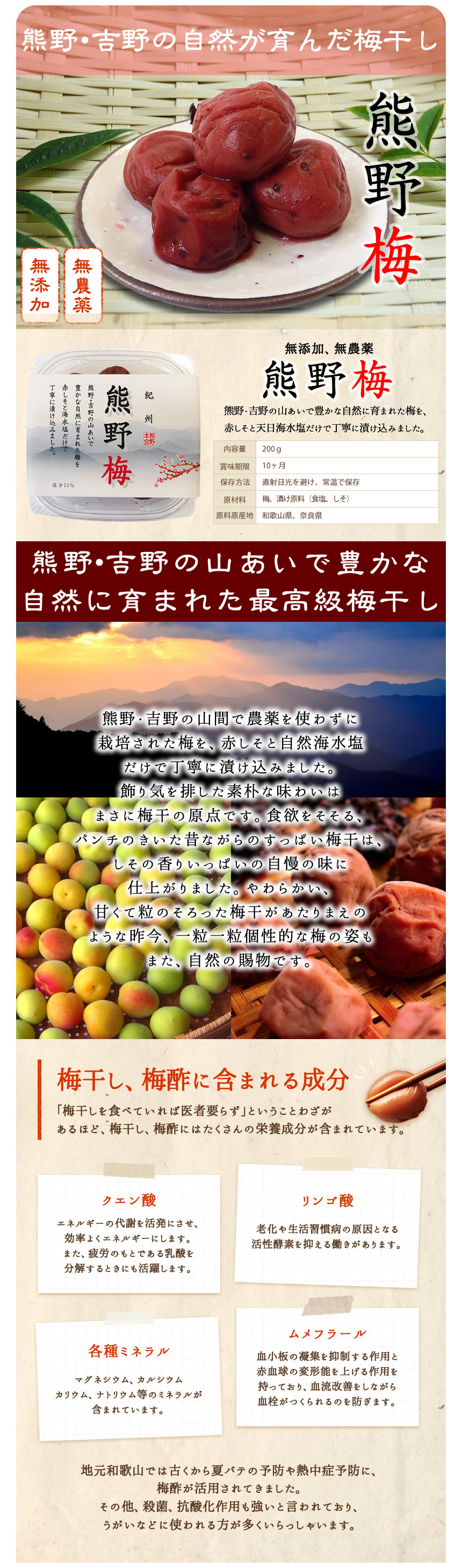 熊野梅