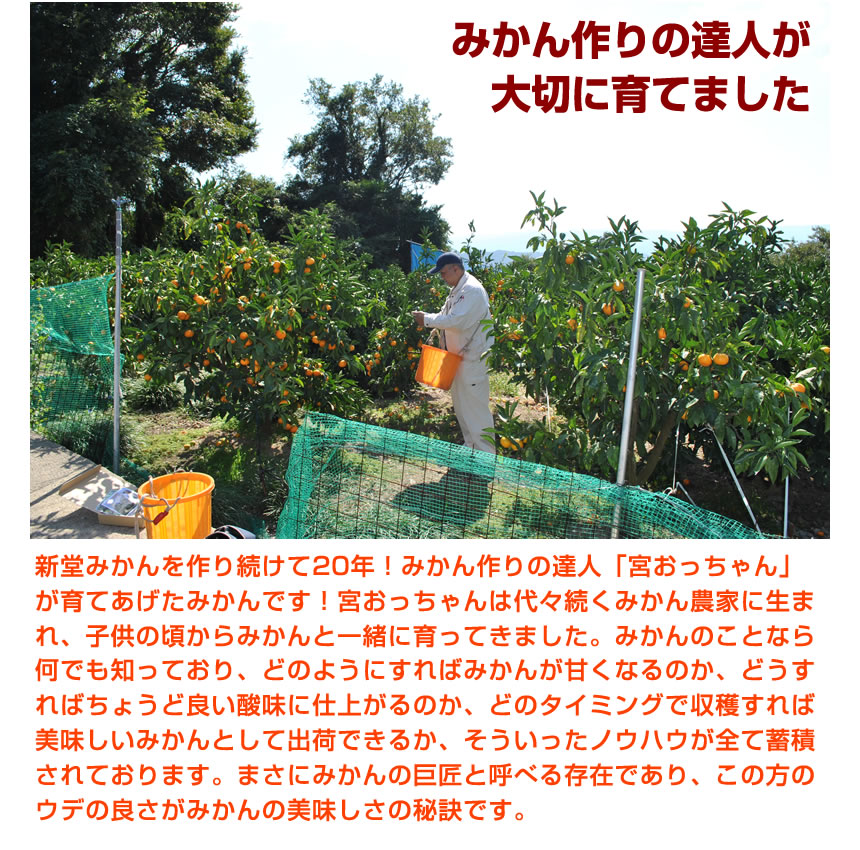みかん作りの達人宮おっちゃんがつくりました。