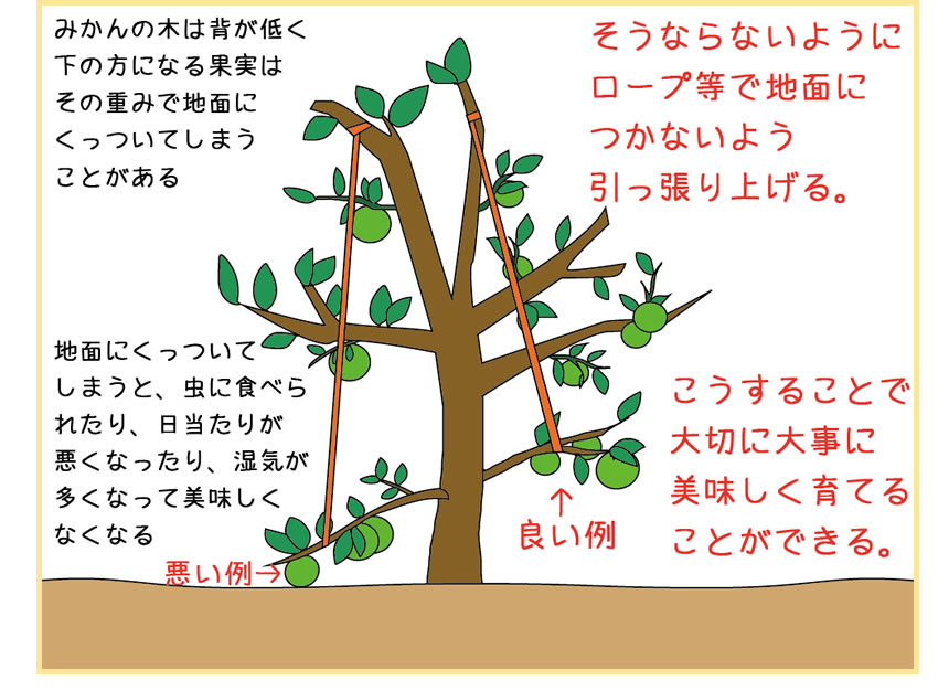 ロープによる工夫
