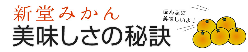 美味しさの秘訣
