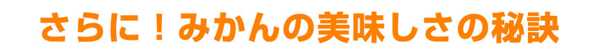 さらに！美味しさの秘訣