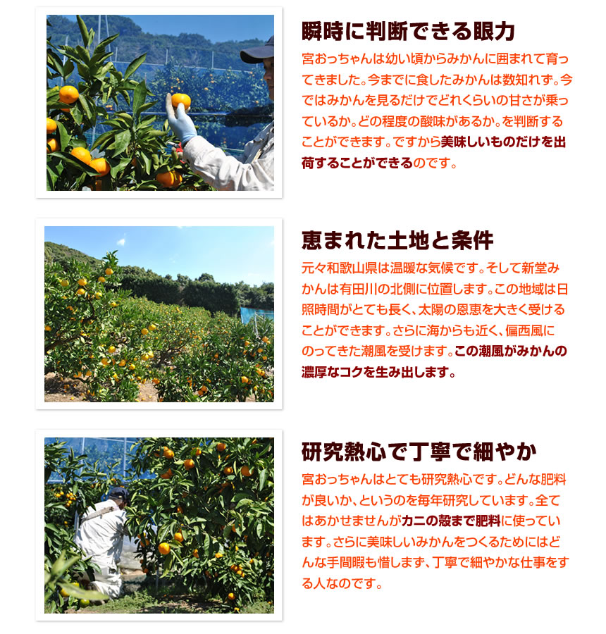 瞬時に判断できる眼力、恵まれた土地と条件、研究熱心で丁寧で細やか