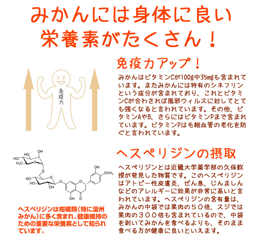 みかんには栄養素がたくさん!