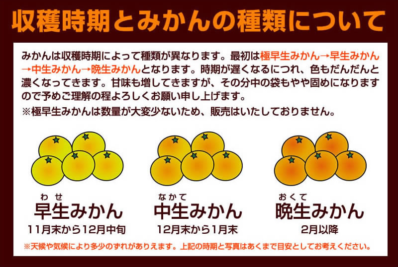 早生みかんと中生みかんと晩生みかんの違い