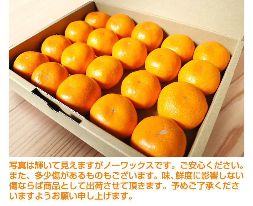 輝いて見えますがノーワックスです