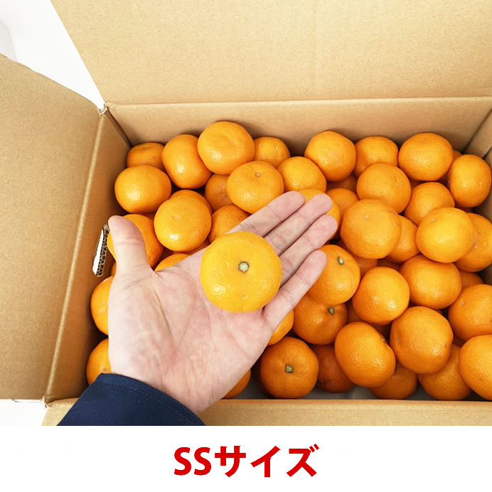 新堂みかん