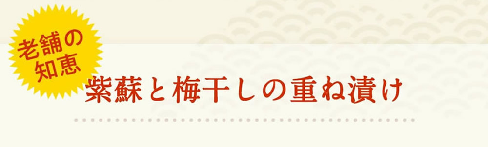 お茶漬け４枚目