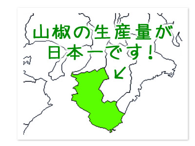 紀州は山椒の生産量が日本一です。