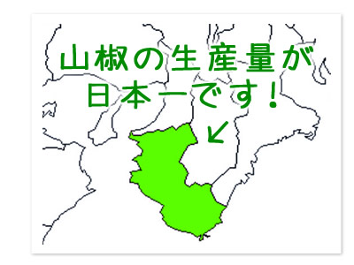 山椒の全国収穫量のうち、<span>和歌山県が約70％を占めています。</span>そのなかでも、有田川町は最高の生産量を誇ってます。山椒はミカン科の低木であり浅根性植物で排水のよい乾燥した場所を好みます。栽培には、西日が当たらず、日照時間が短い中山間の傾斜地が適しています。このため、遠井地区をはじめとする、標高500～600ｍの地域を中心に栽培が広がっていきました。つまり山椒は和歌山県の風土がピッタリな香辛料と言えるのです。<br />
<span>ただし、収穫時期は極端に短く5月後半から6月中旬までに取り入れなければなりません。このため、旬の美味しさを味わって頂きたいために新鮮な状態で冷凍するのです。