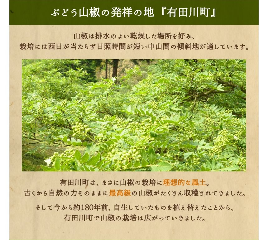 有田川町は、まさに山椒の栽培に理想的な風土。古くから自然の力そのままに最高級の山椒がたくさん収穫されてきました。