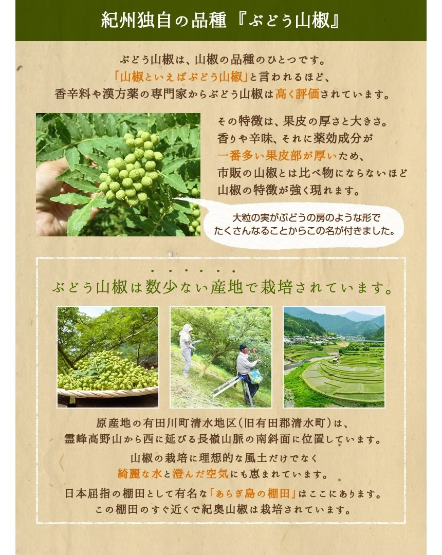 ぶどう山椒は、山椒の品種のひとつです。
「山椒といえばぶどう山椒」と言われるほど、香辛料や漢方薬の専門家からぶどう山椒は高く評価されています。その特徴は、果皮の厚さと大きさ。香りや辛味、それに薬効成分が一番多い果皮部が厚いため、市販の山椒とは比べ物にならないほど山椒の特徴が強く現れます。