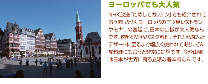 ヨーロッパでも大人気。NHK放送「ためしてガッテン」でも紹介されておりましたが、ヨーロッパの三ツ星レストランやモナコの宮廷で、日本の山椒が大人気なんです。肉料理からパスタ料理、それからなんとデザートに至るまで幅広く使われており、どんな料理にも合うと非常に好評です。今や山椒は日本が世界に誇る立派な香辛料なんです。