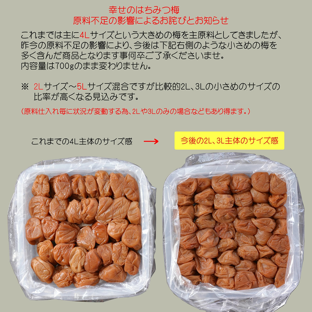 幸せのはちみつ梅１