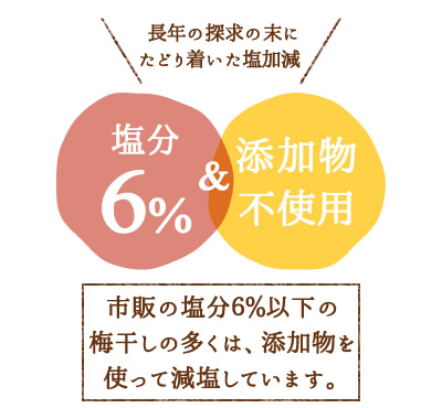 えんぶん6%