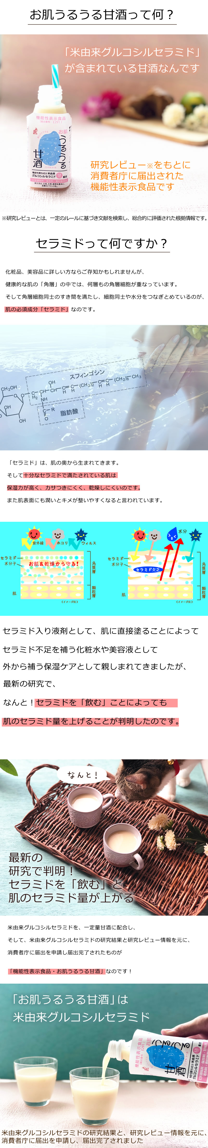 詳細情報