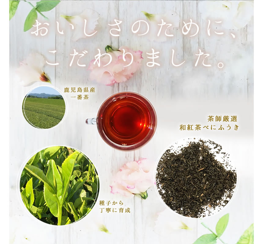 おいしさのためにこだわりました。鹿児島県産一番茶。茶師厳選和紅茶紅ふうき。種子から丁寧に育成。