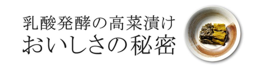 乳酸発酵の高菜漬け「おいしさの秘密」