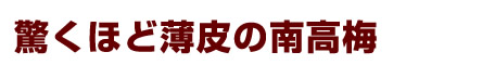 驚くほど薄皮の南高梅
