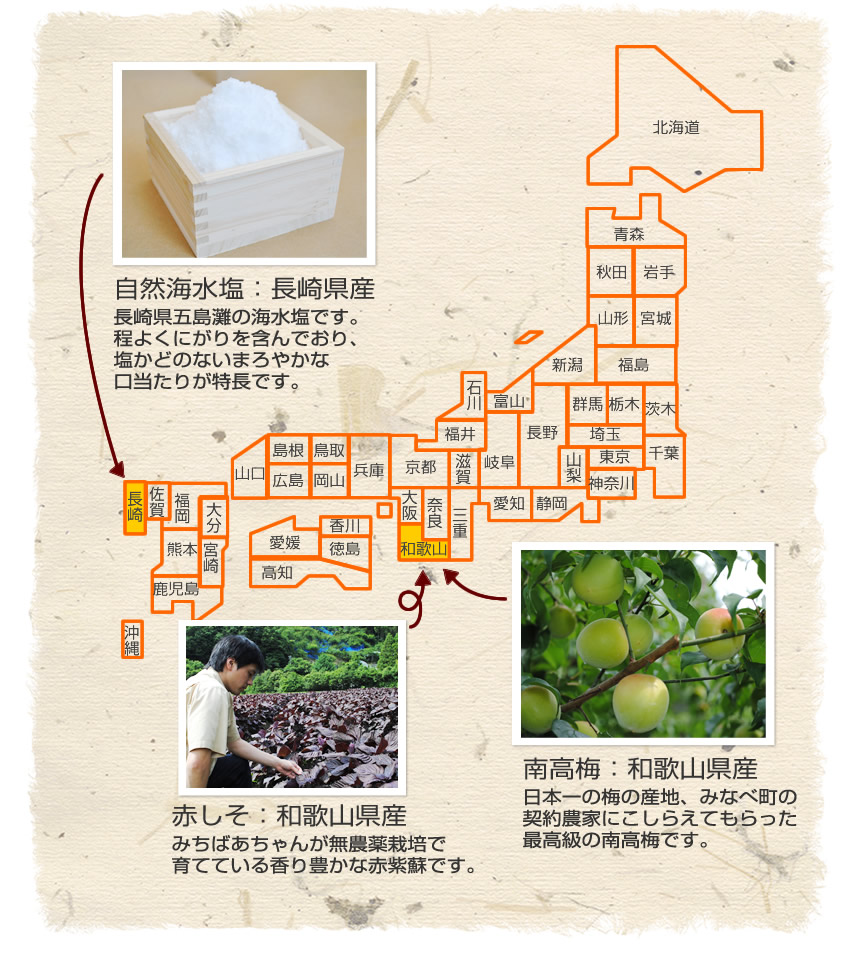 
            自然海水塩：長崎県産（長崎県五島灘の海水塩です。程よくにがりを含んでおり、塩かどのないまろやかな口当たりが特長です。）
            南高梅：和歌山県産（日本一の梅の産地、みなべ町の契約農家にこしらえてもらった最高級の南高梅です。)
            赤しそ：和歌山県産（みちばあちゃんが無農薬栽培で育てている香り豊かな赤紫蘇です。）