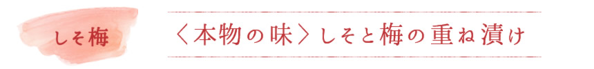 しそと梅の重ね漬け